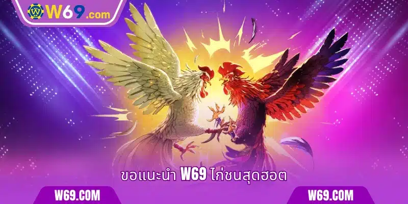 ขอแนะนำ W69 ไก่ชนสุดฮอต
